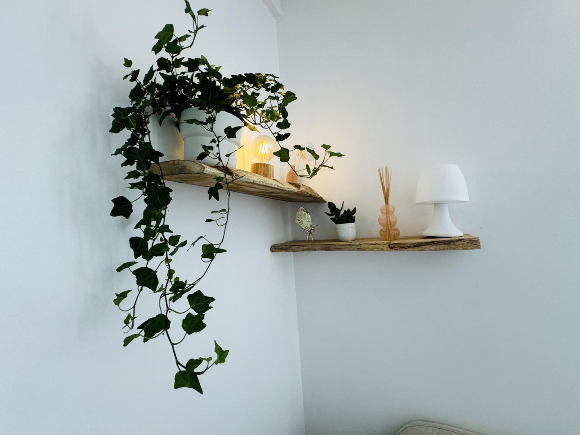 Le Piccolo - Appartement Cosy - Wifi Бегль Экстерьер фото